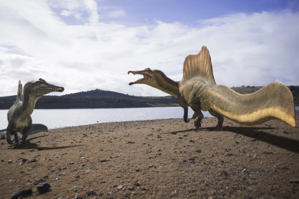 16a996bb-7e78-4a90-86f2-8874dccec1fc_d9a70dd1